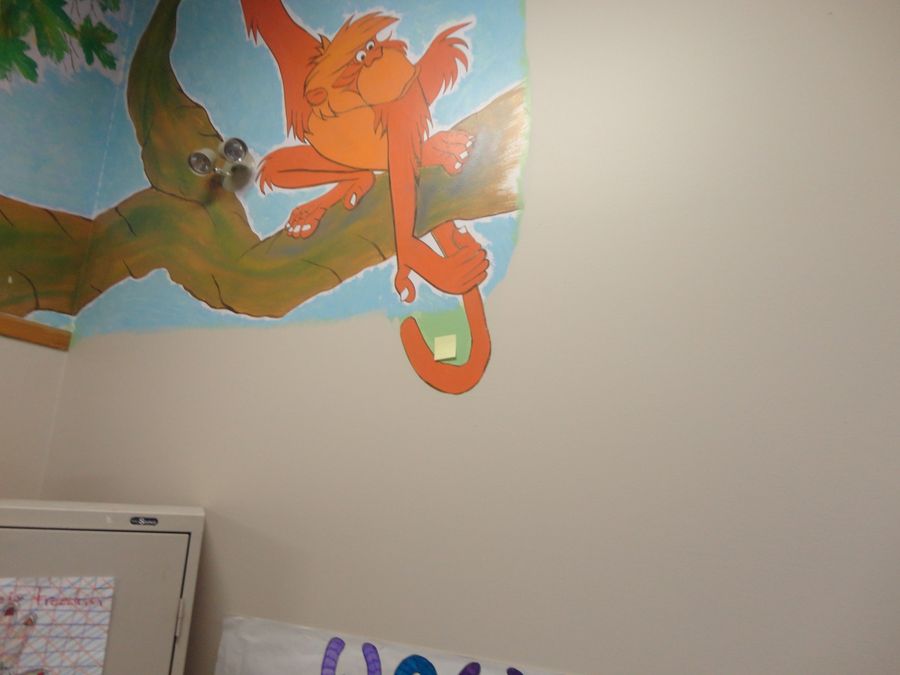 Vinyl Wall Coverings